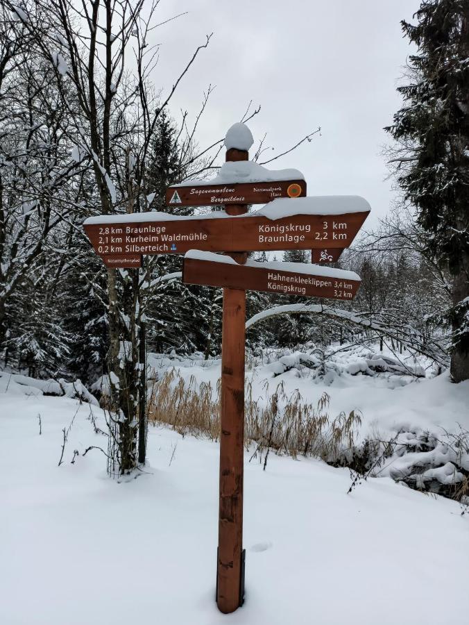 Walpurgis Hexe Apartamento Braunlage Exterior foto