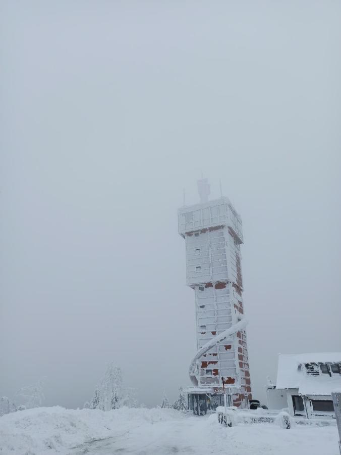 Walpurgis Hexe Apartamento Braunlage Exterior foto