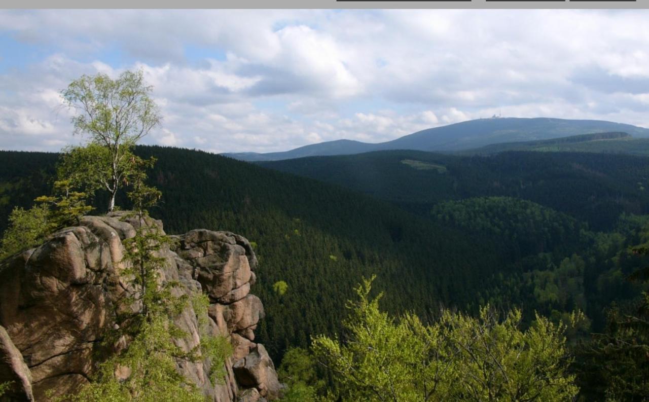 Walpurgis Hexe Apartamento Braunlage Exterior foto